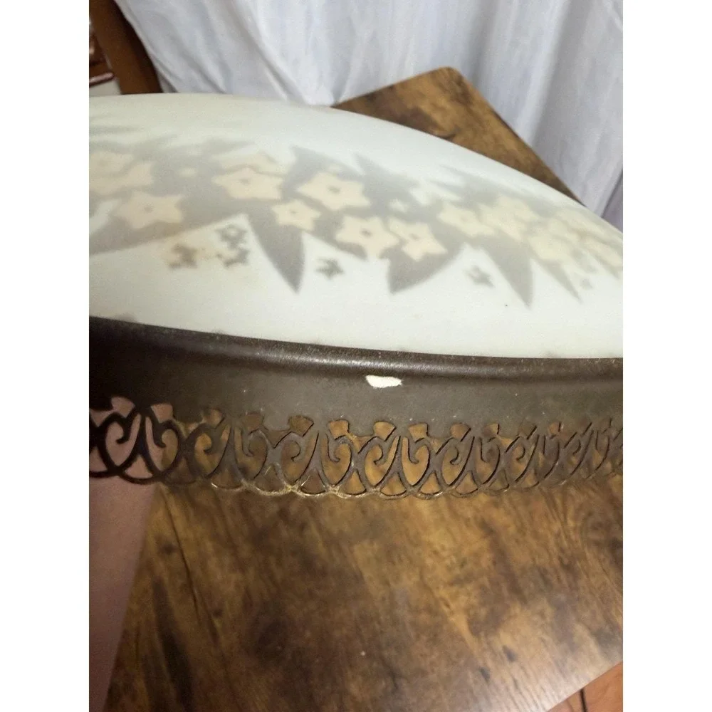 Art Deco Frosted Glass Floral Ceiling Light Shade 14
